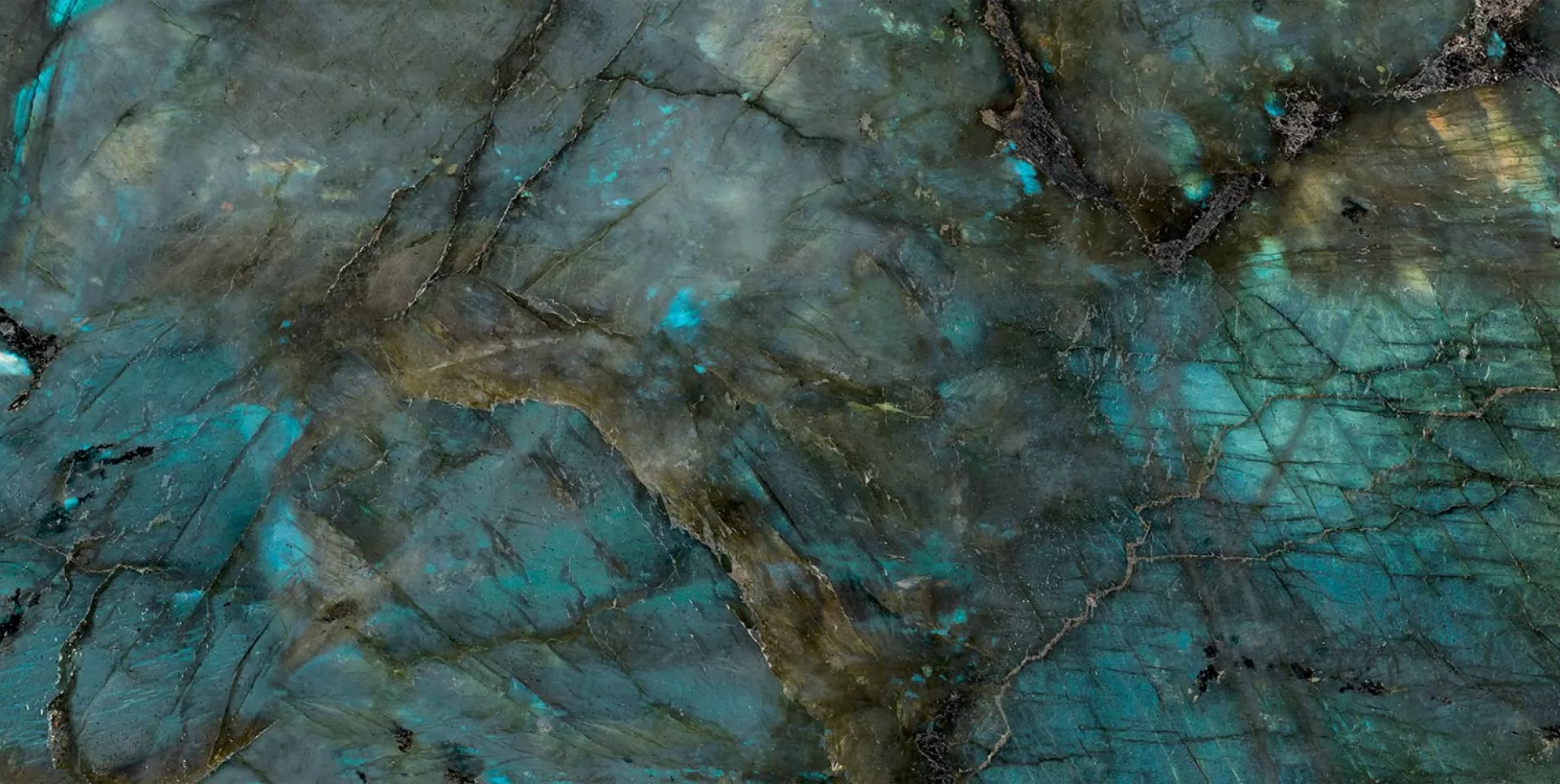 STARDUST 1