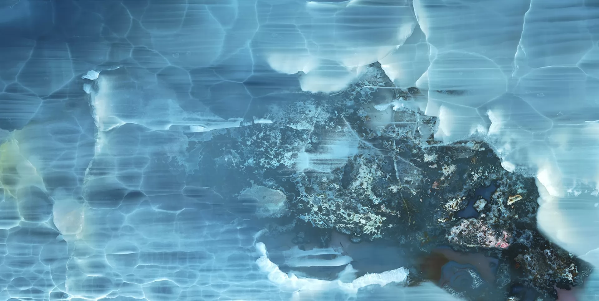 ANTARCTICA 3