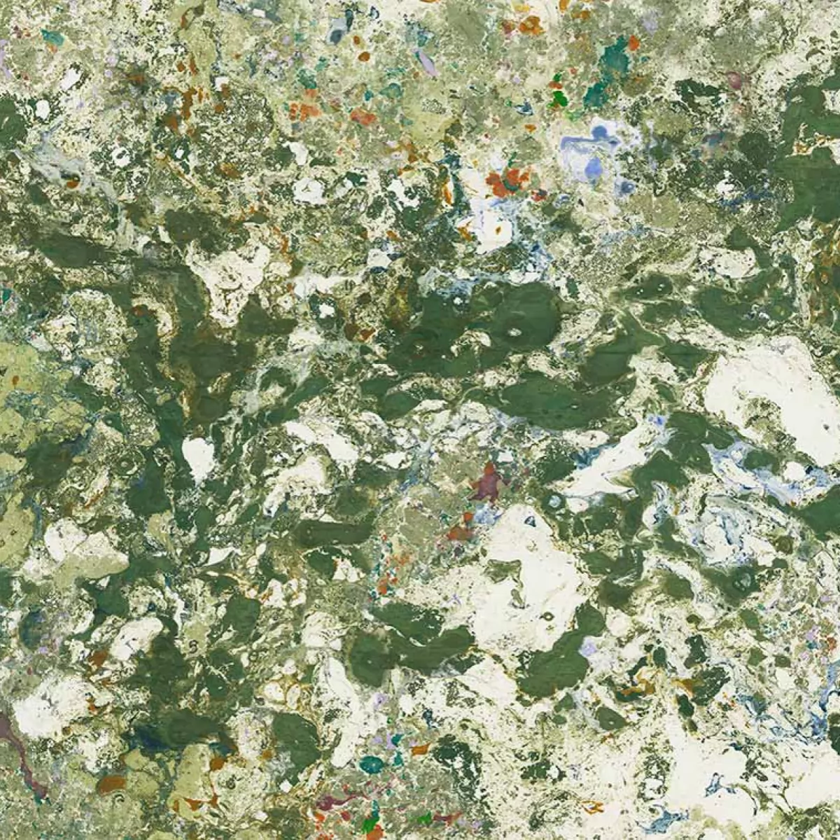 ROBINSON