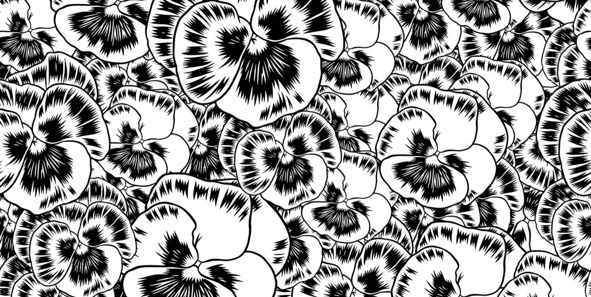 75772-1 - BLACK AND WHITE