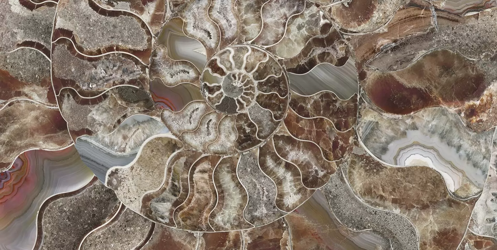 SHELL 1