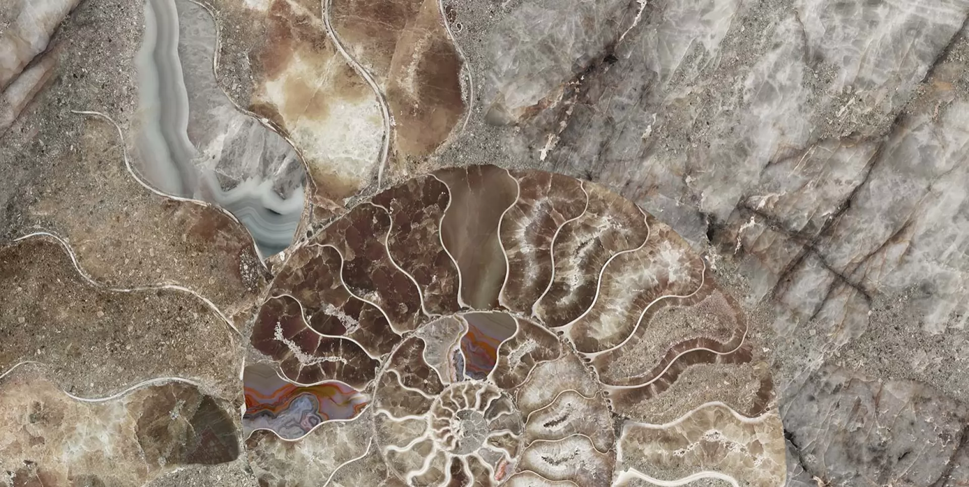 SHELL 3