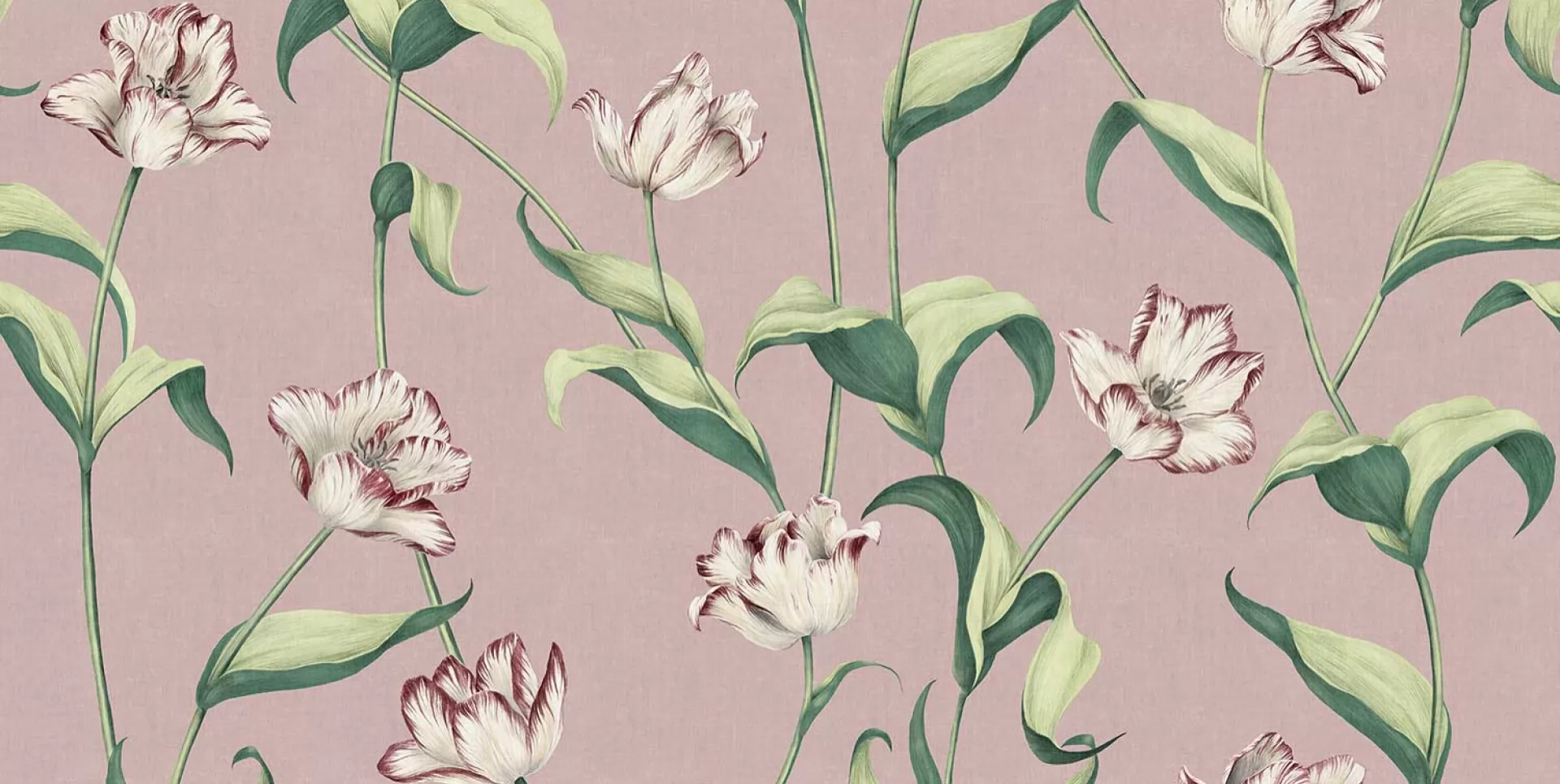 79318-2A - POWDER ROSE BIG