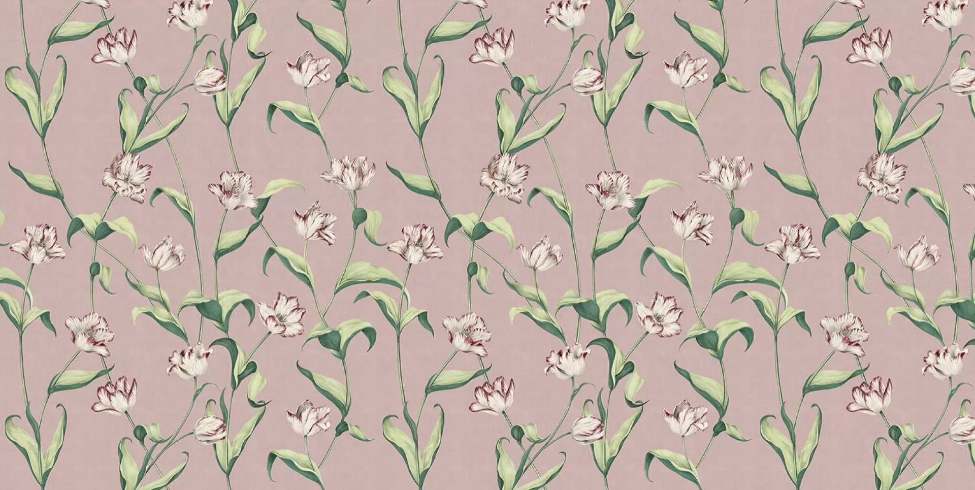 79318-2B - POWDER ROSE SMALL