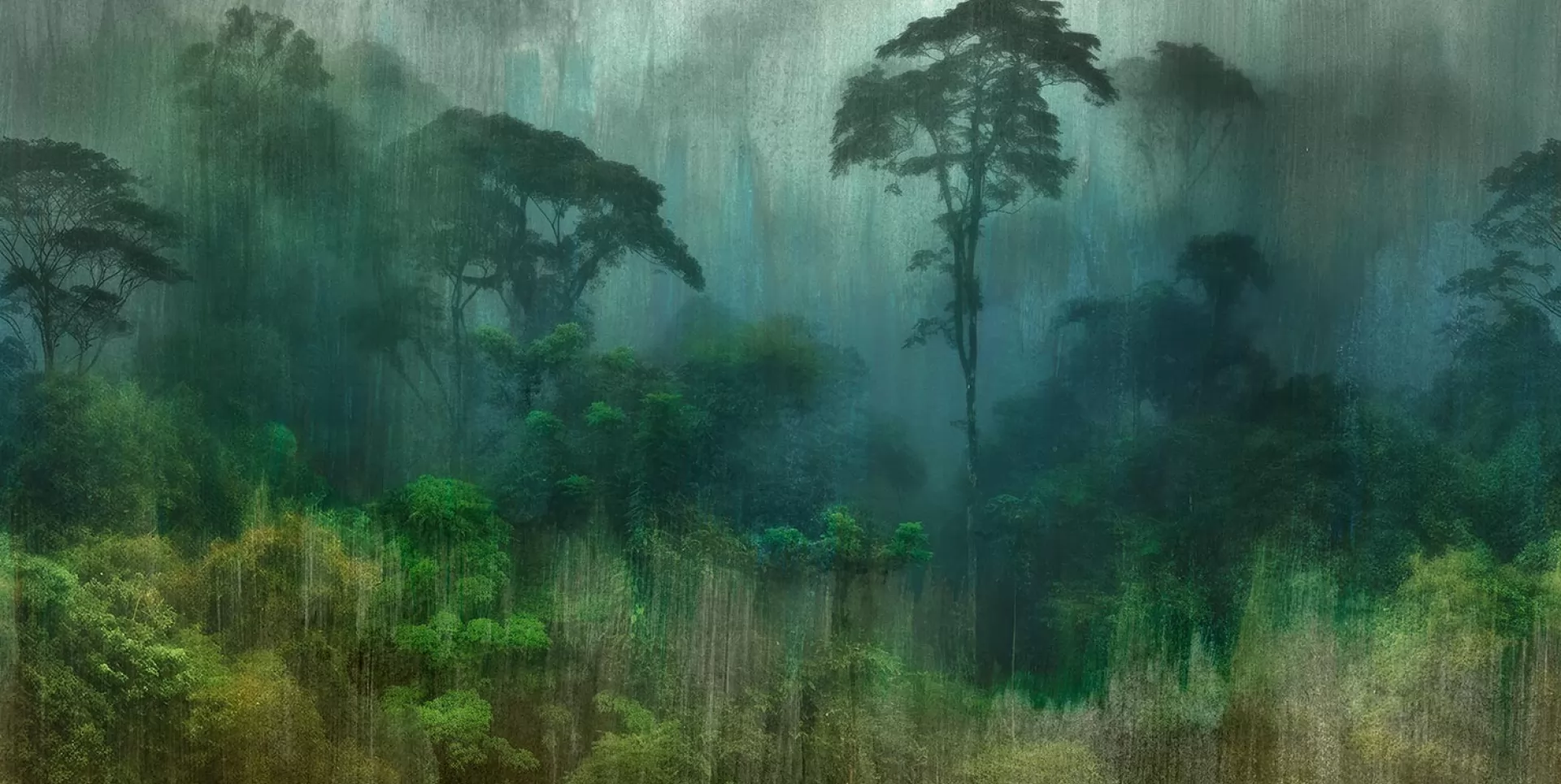 83523-1 - AMAZZONIA GREEN