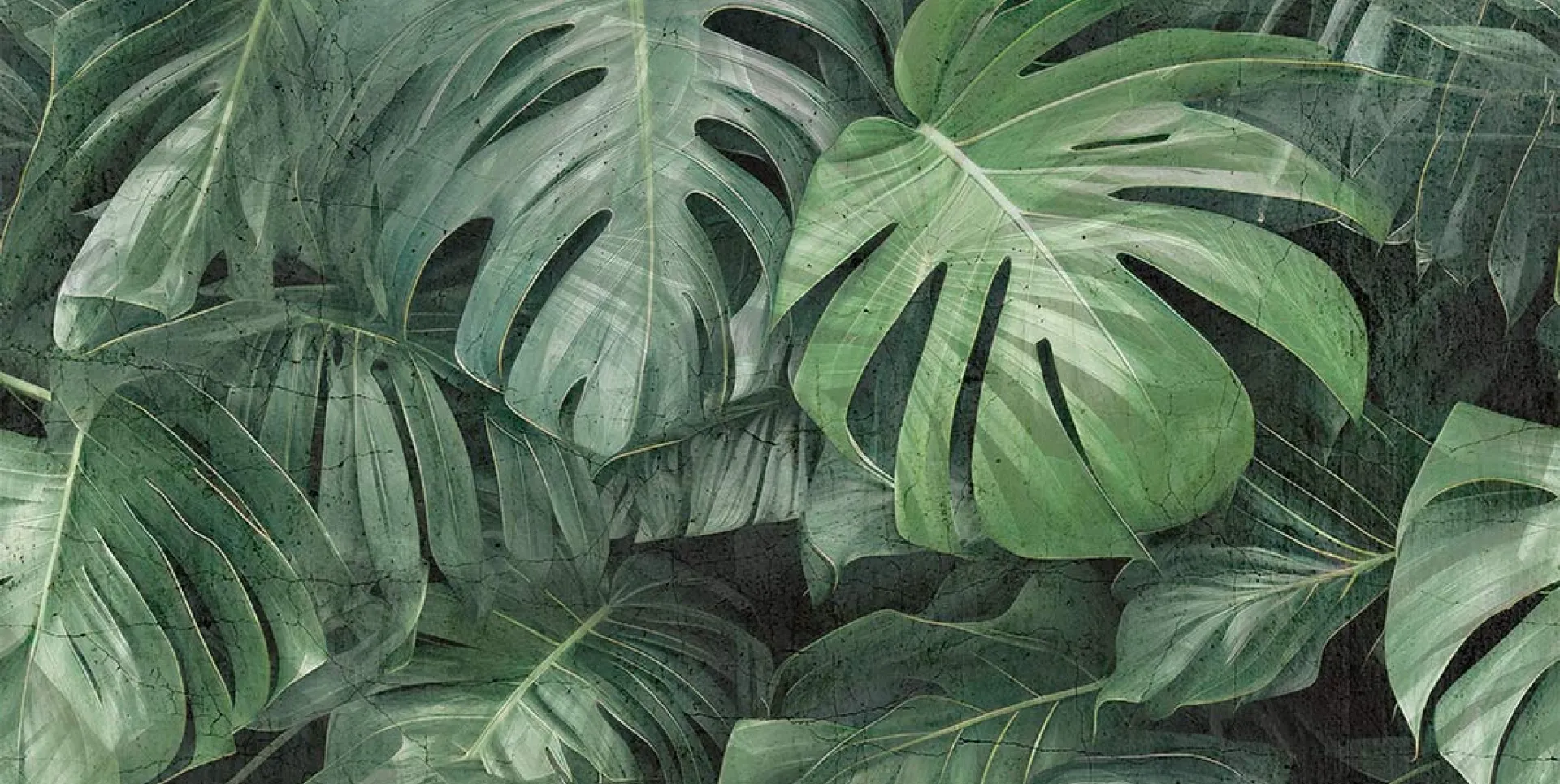 84505-1 - GREEN