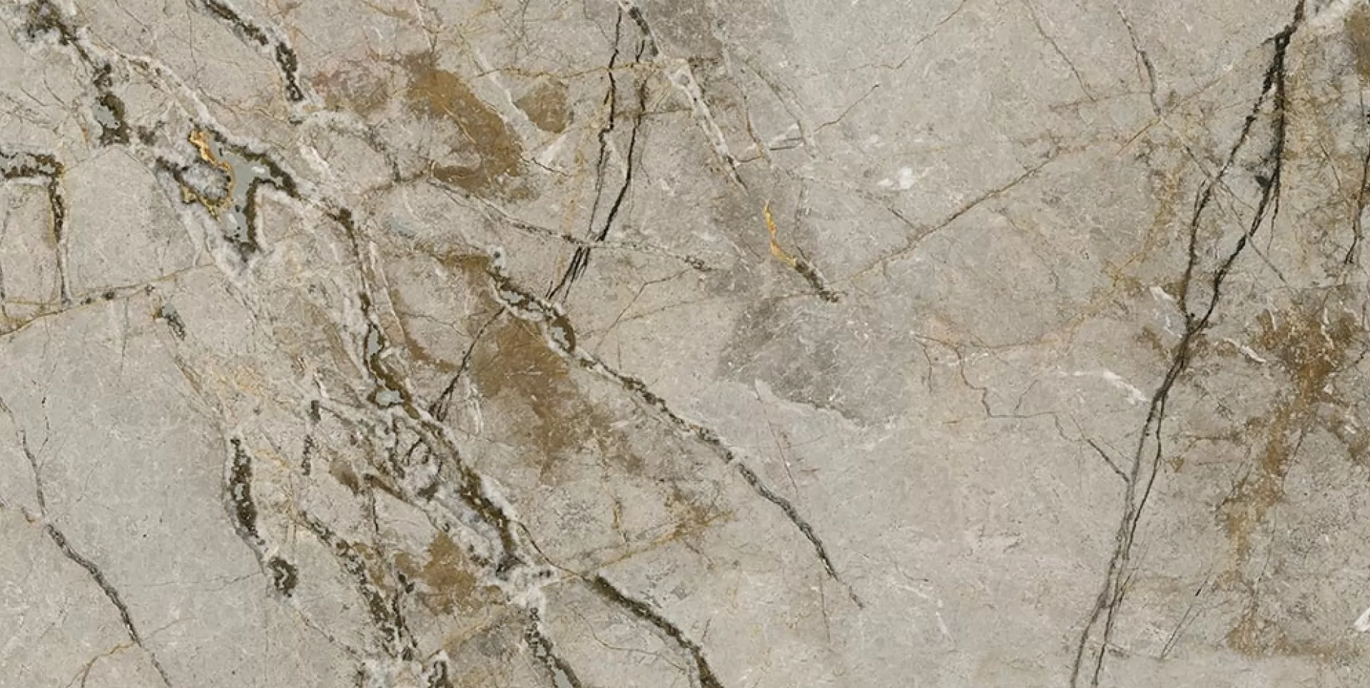 SILVER ROOTS | Tecnografica