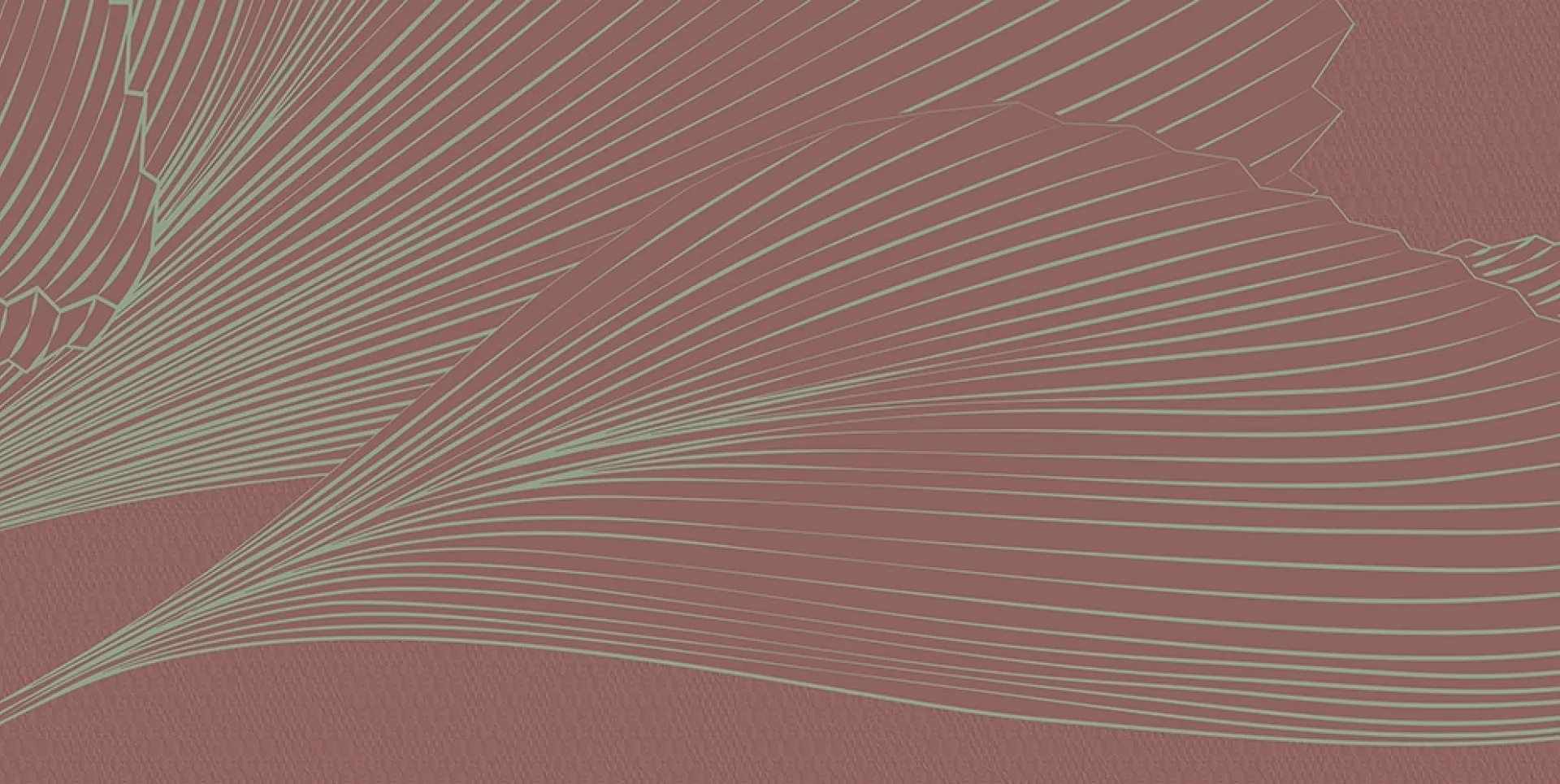 BZ060435-2C - RED 2