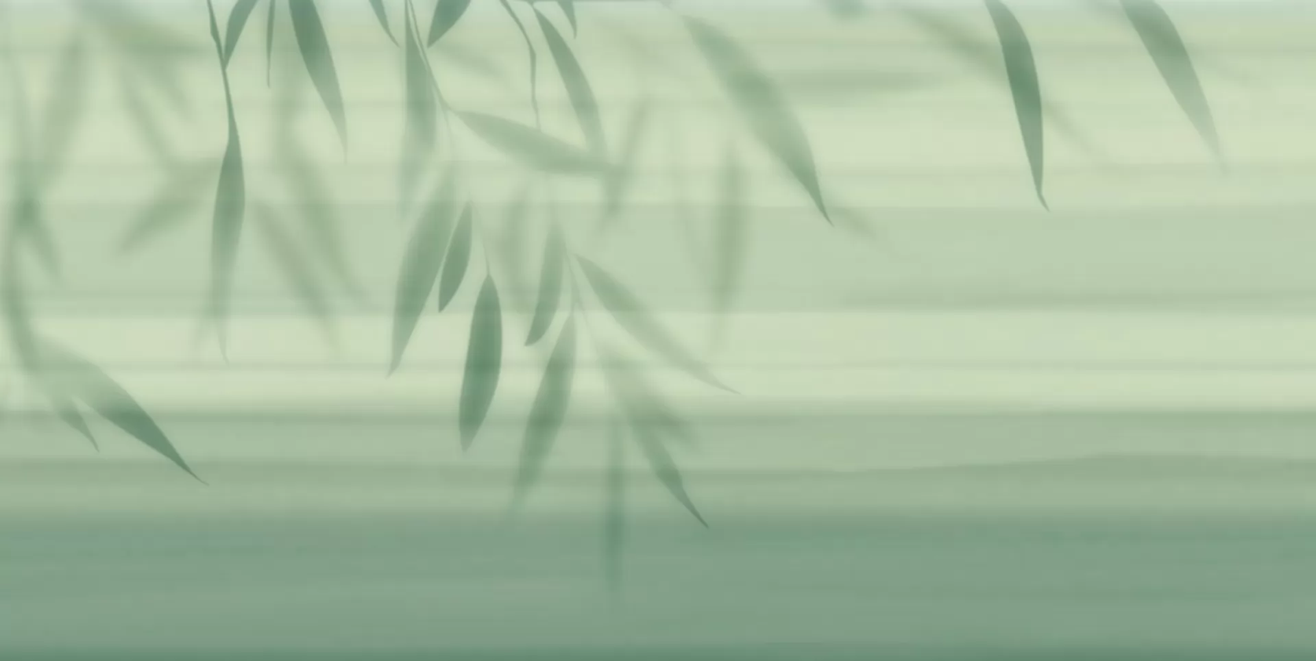 BZ060473-1B - GREEN B