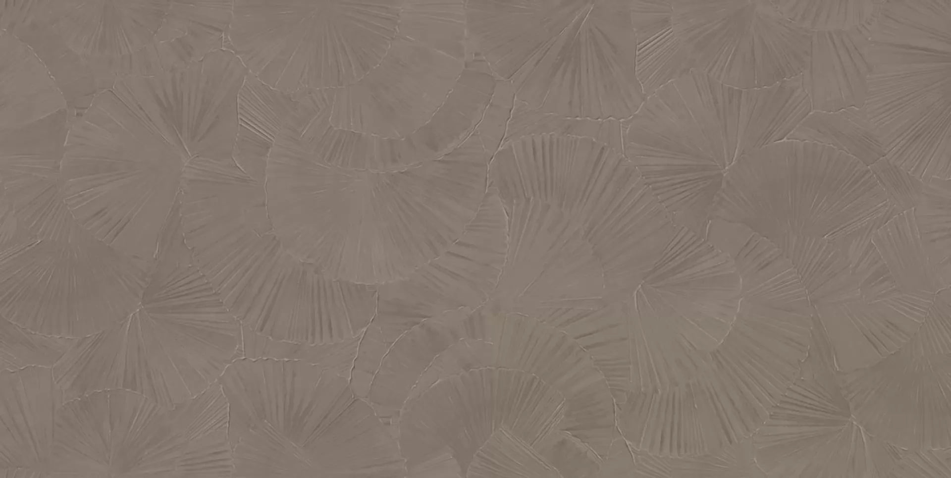 4C VENTAGLIO MUD