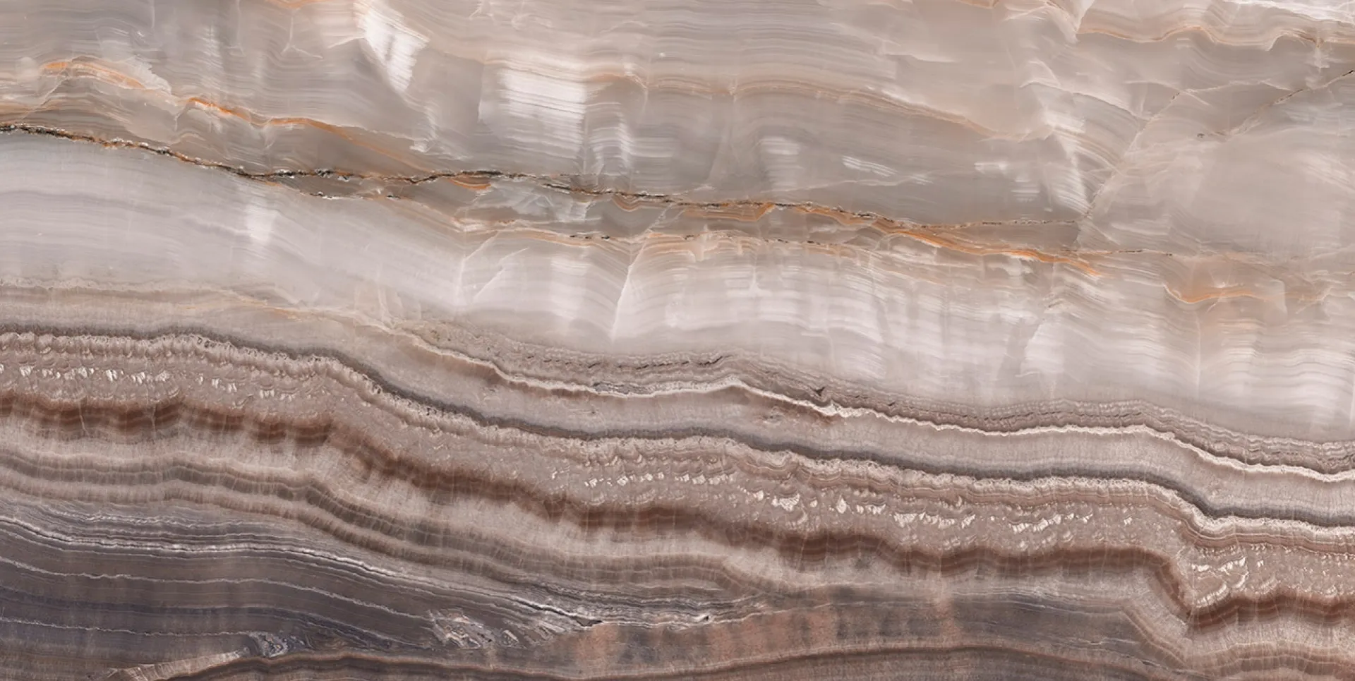 BZ061069-1 - BRUMELIA 1