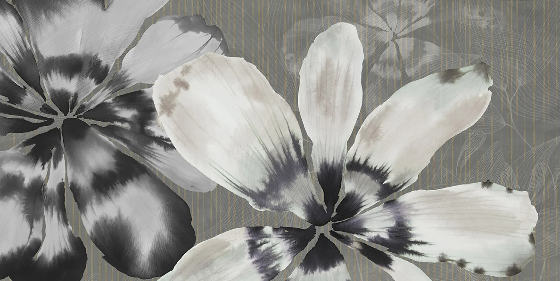 BZ061555-2 - GRAPHITE