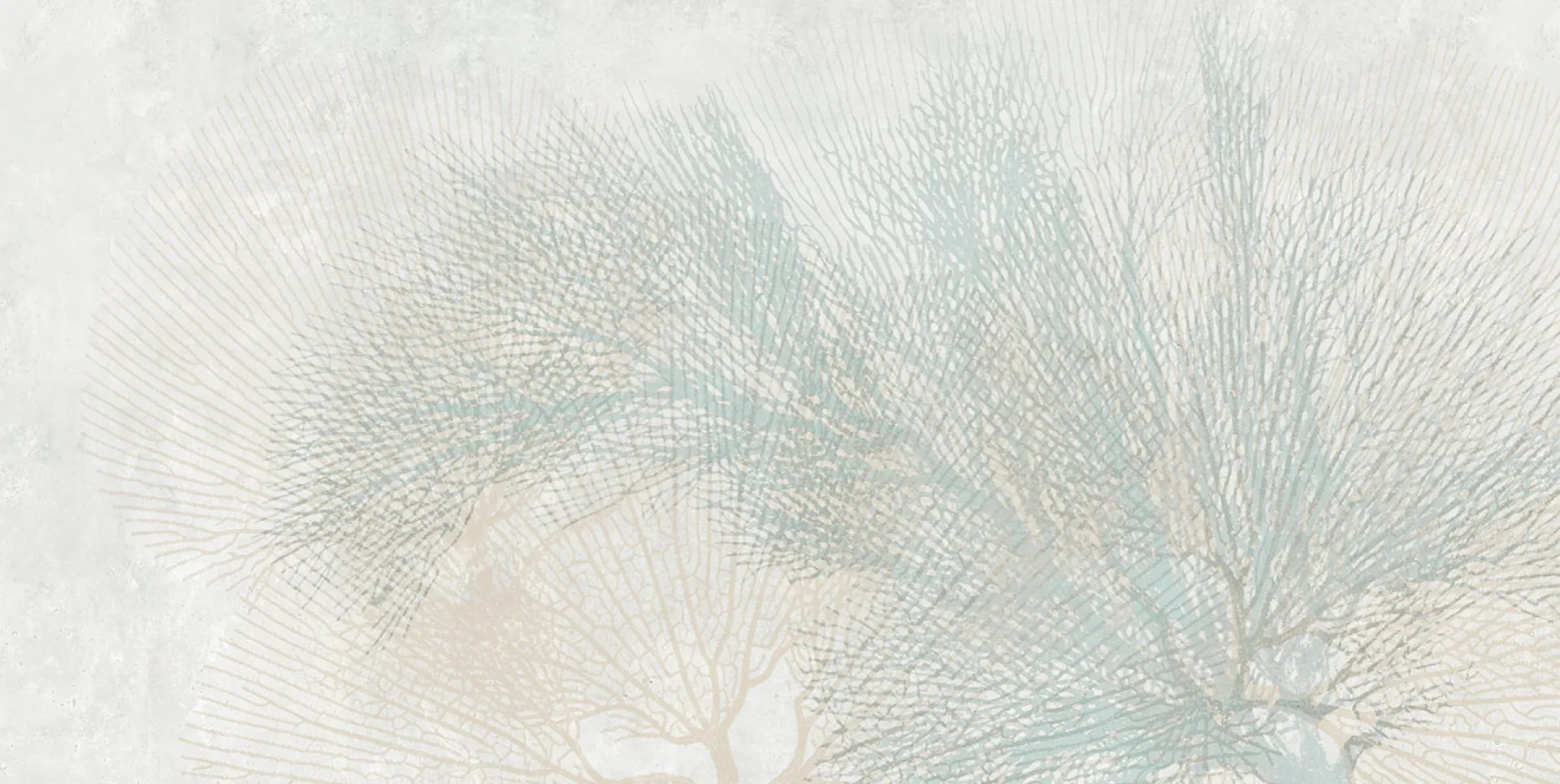  BZ062200-1A - WHITE // Silk Plus: BZ062200-1B