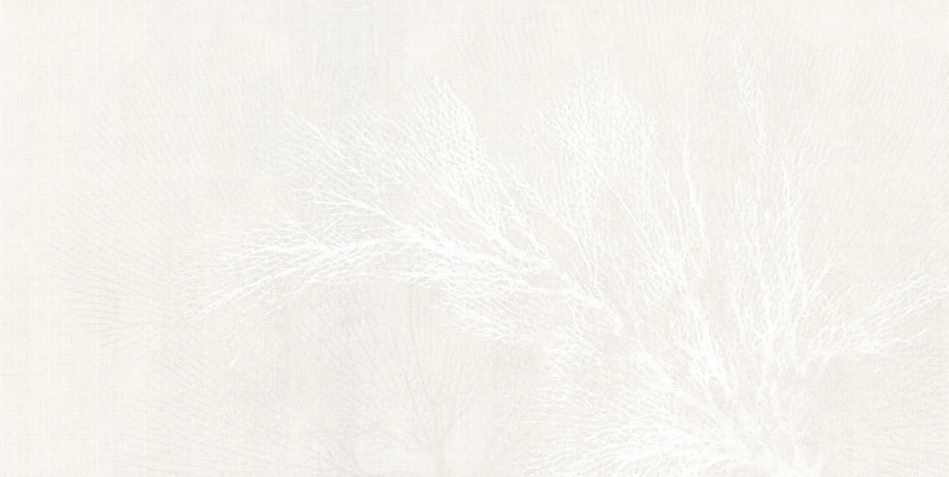 Silk Plus: BZ062200-4B - TOTAL WHITE