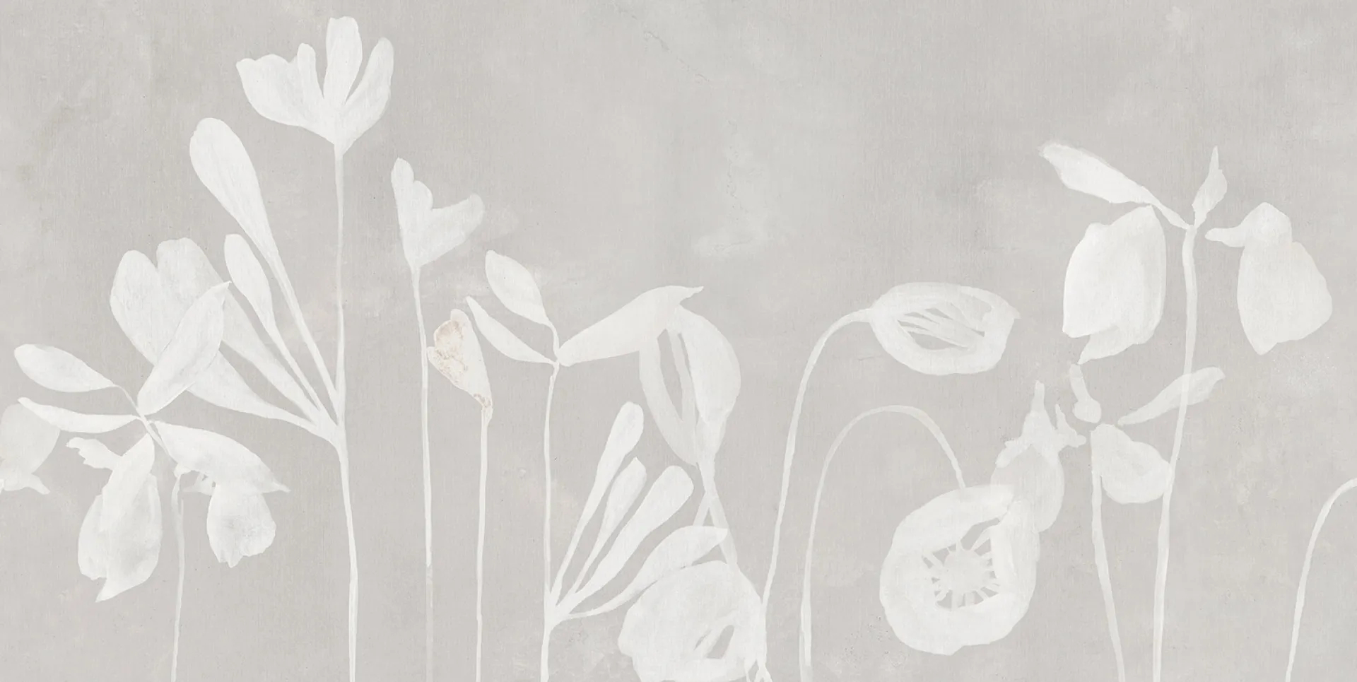 BZ062628-1 - WHITE