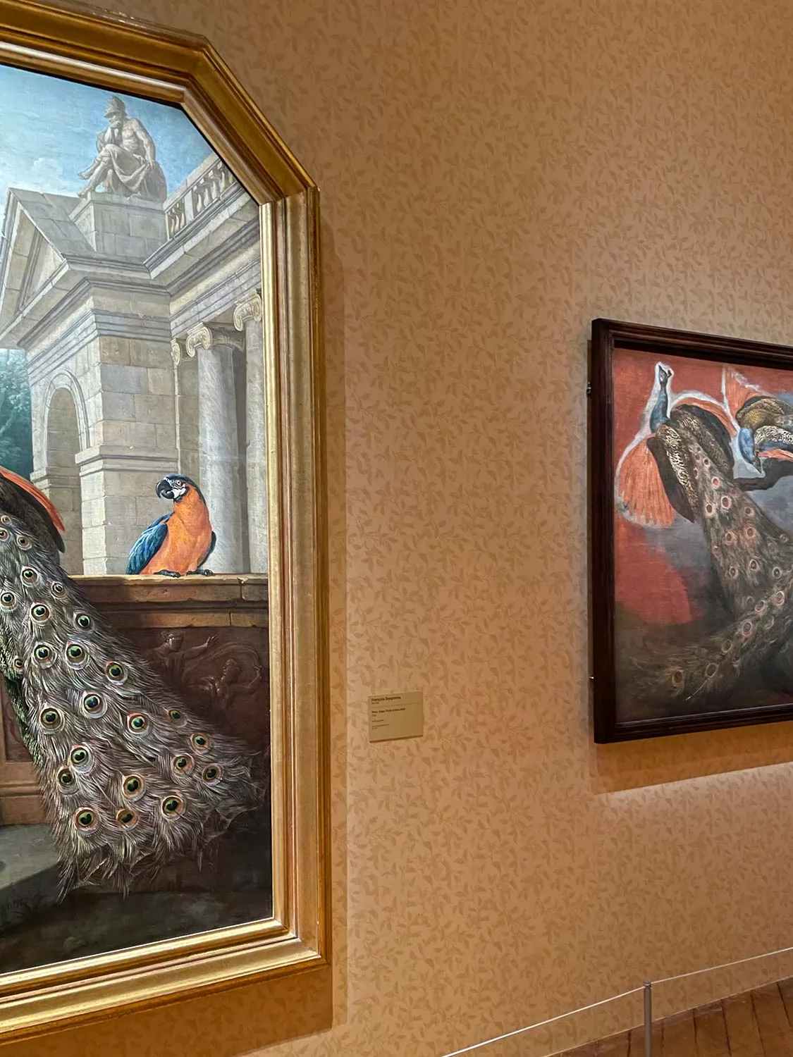 Schloss Versailles – Ausstellung „Die Tiere des Königs“ von Guicciardini und Magni